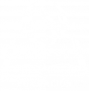 logo-b-lanco-994x1024